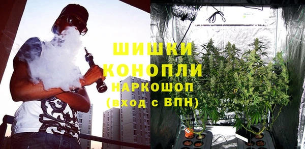 ПСИЛОЦИБИНОВЫЕ ГРИБЫ Балабаново