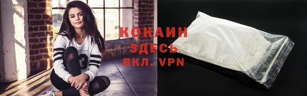 дживик Баксан