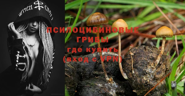 ПСИЛОЦИБИНОВЫЕ ГРИБЫ Балабаново
