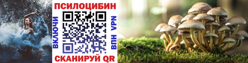 Галлюциногенные грибы прущие грибы  где продают   Ессентуки 